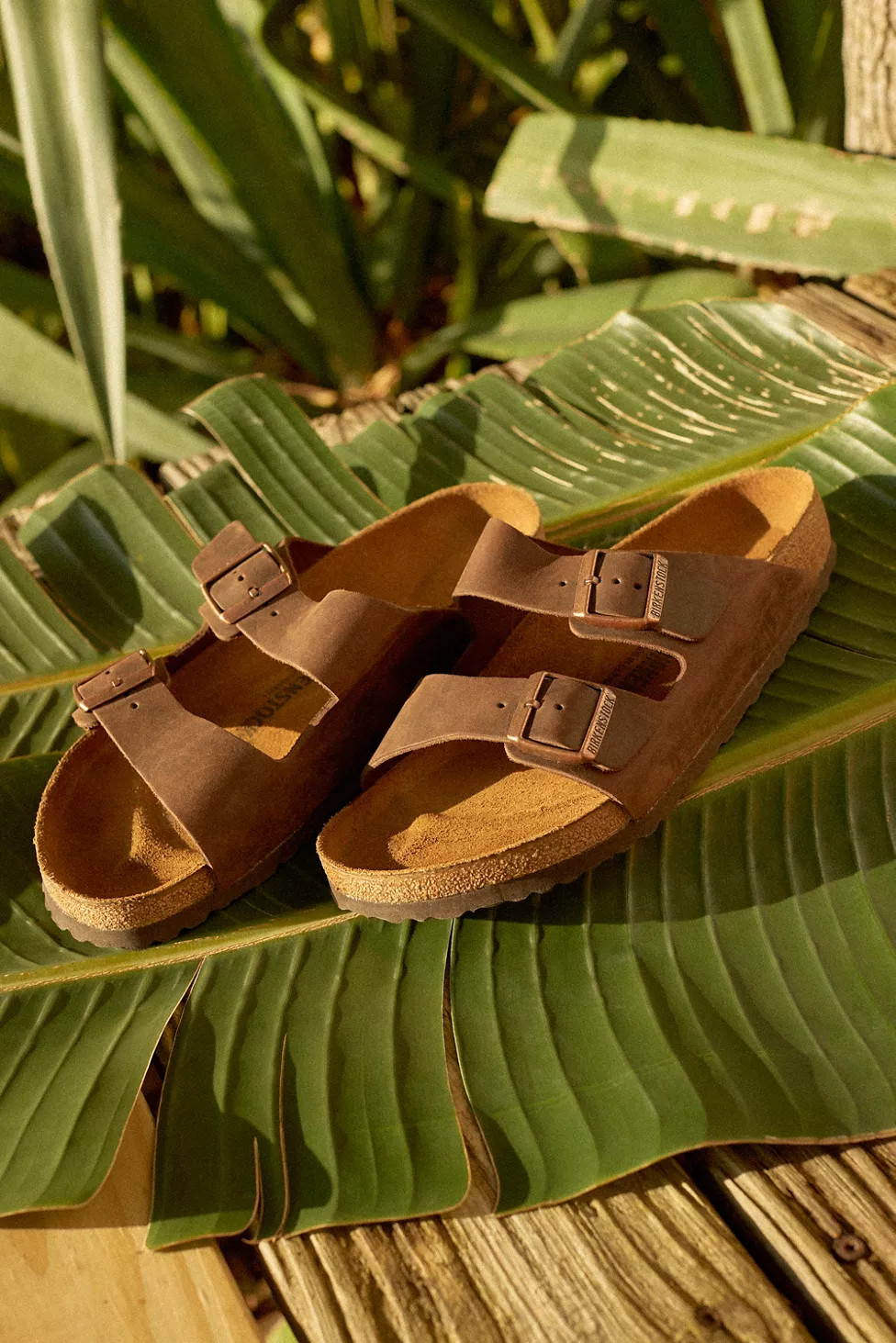 Birkenstock Arizona Birkibuc Sandal | Urban Outfitters (US and RoW)