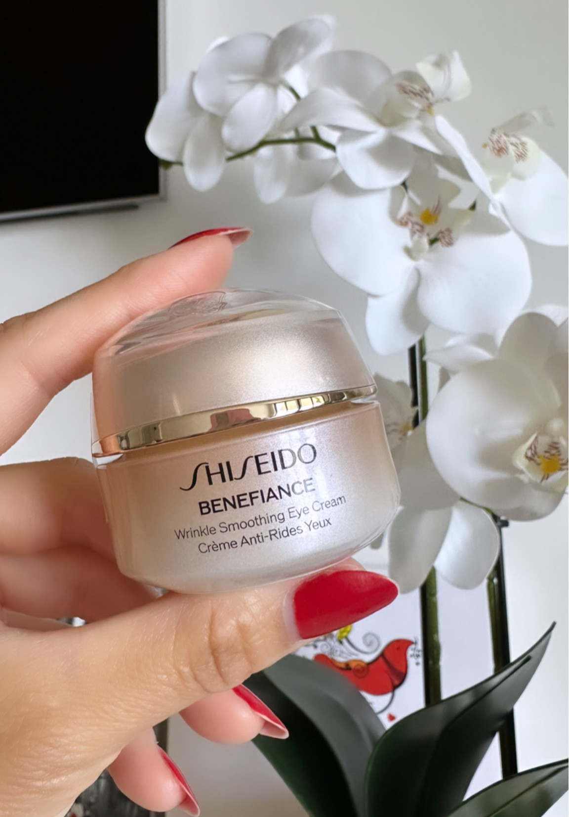 forever young with Shiseido ❤️

#LTKbeauty