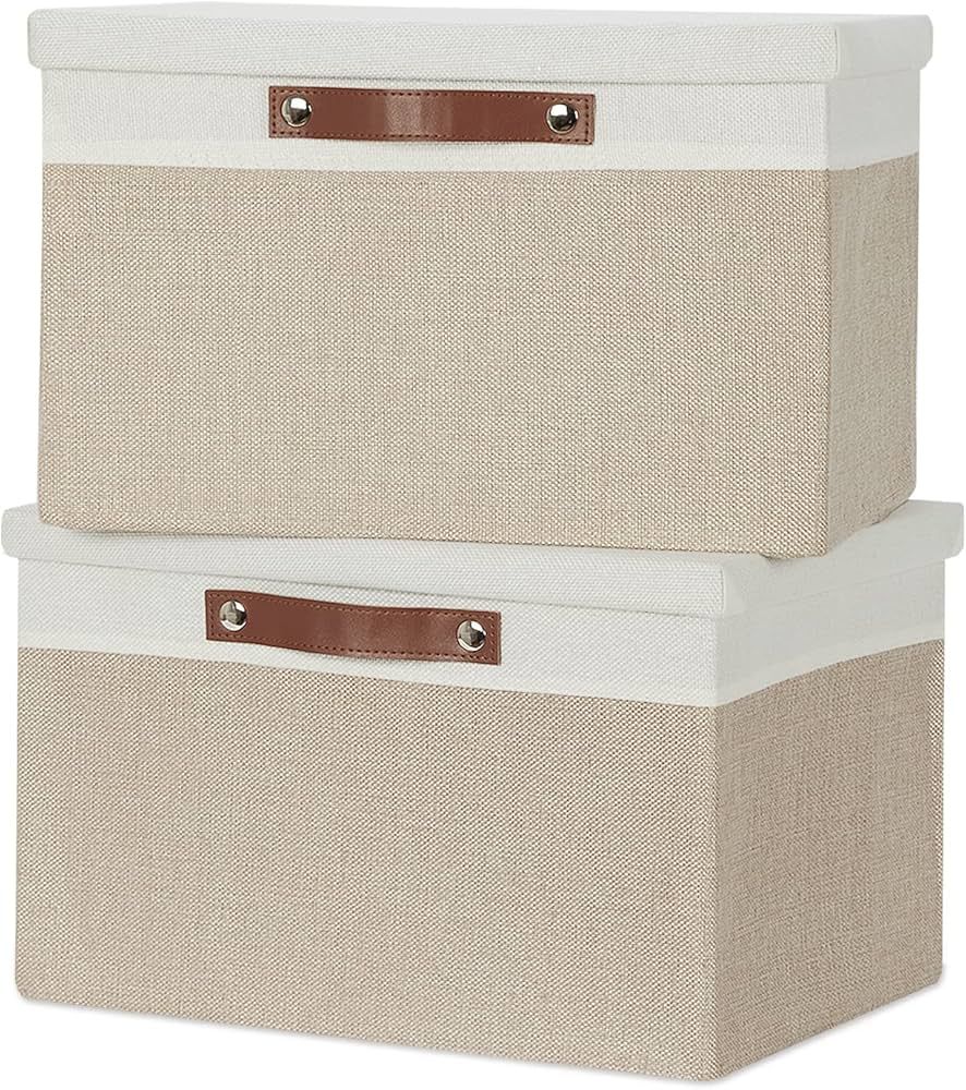 Temary Foldable Storage Bins with Lids, [2-Pack] Large Storage Baskets with Lid, Fabric Storage B... | Amazon (US)