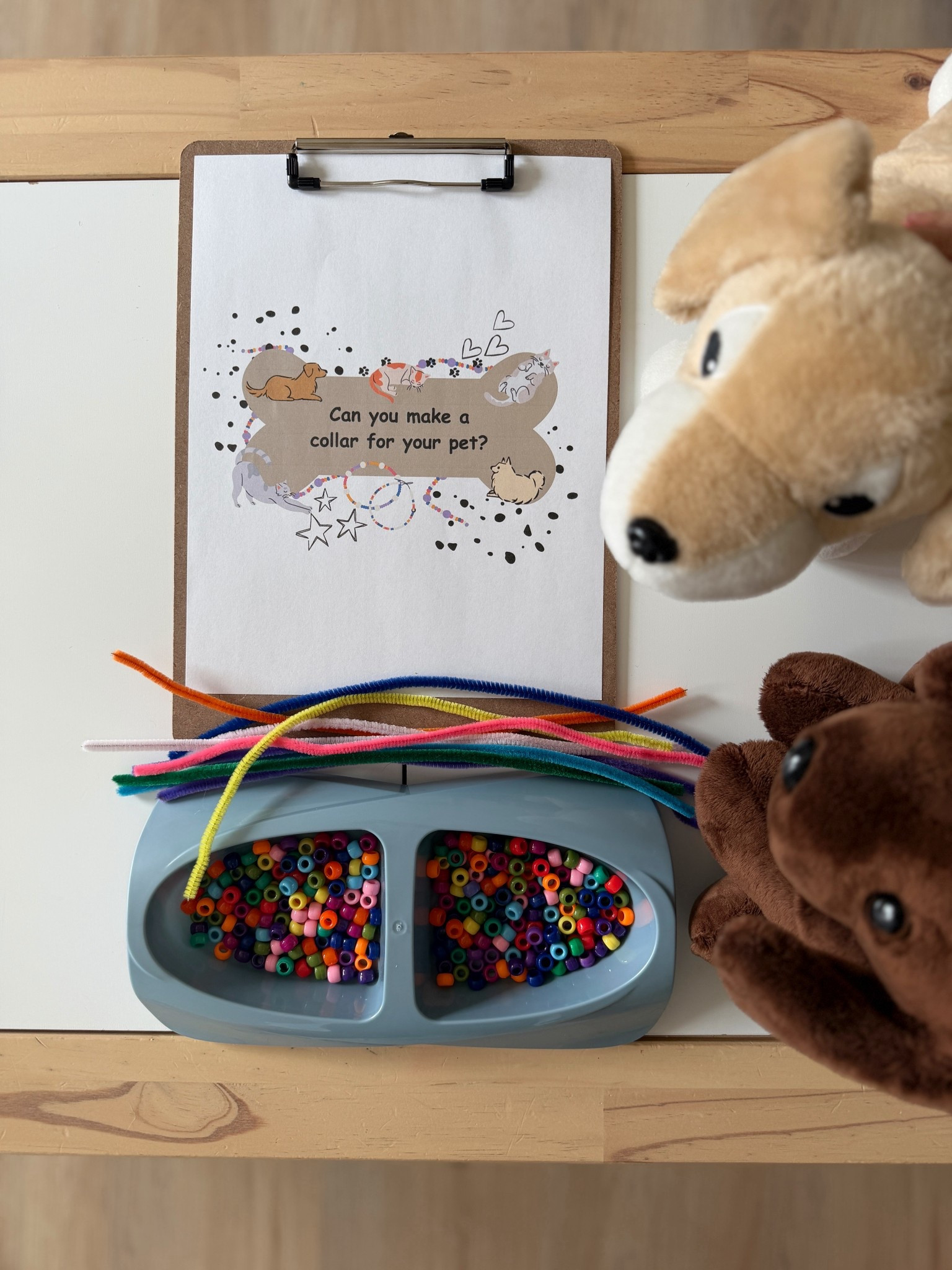 Pet Themed Fine Motor Activity 🐾

#LTKmomlife #LTKKids #LTKdayinmylife