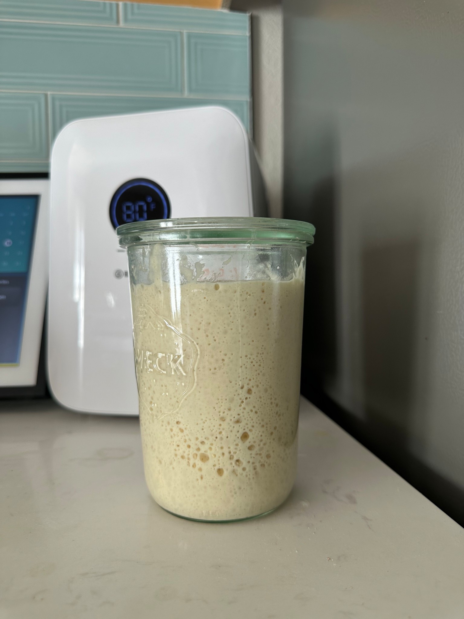 Sourdough starter goals 🫶🏼

#LTKHome #LTKFindsUnder50 #LTKGiftGuide