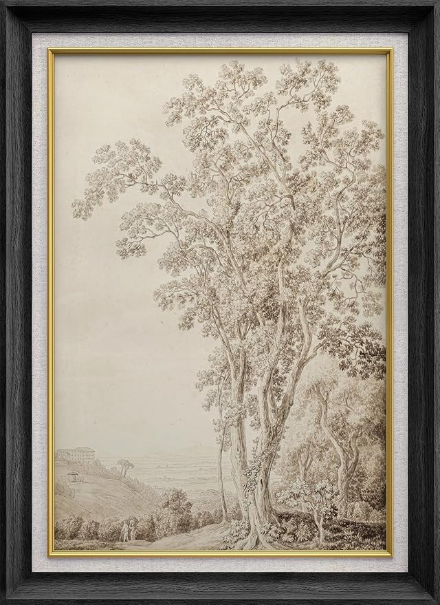 SIGNWIN Premium Frame Art Classic Tree Branches and Foliage Illustrations Fine Art Traditional Ic... | Amazon (US)