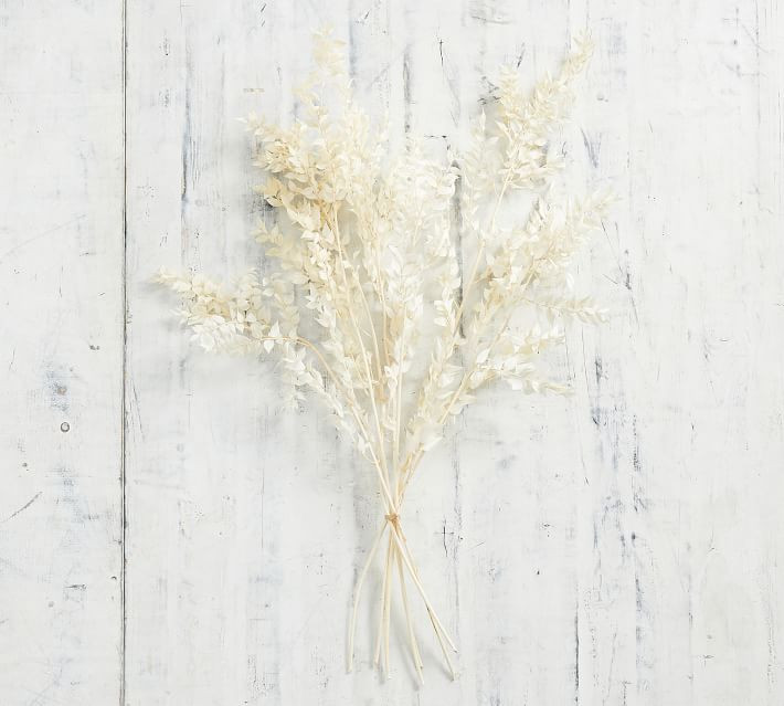 Dried Ruscus Bundle | Pottery Barn (US)