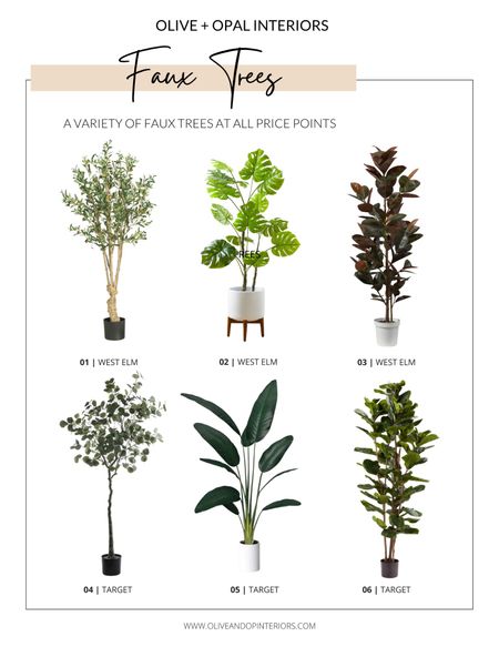 Here is a roundup of some great faux trees in a variety of types and price points!
.
.
.
Target 
West Elm
Faux Eucalyptus 
Faux Monstera
Faux Rubber Tree
Faux Fiddle Leaf
Faux Olive Tree


#LTKstyletip #LTKhome #LTKunder100
