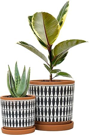 Set of 2, Geometric Seamless Design Terracotta Planter Pot, 4 Inch and 6 Inch, Ceramic Plant Pot ... | Amazon (US)