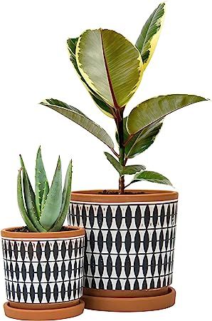 Set of 2, Geometric Seamless Design Terracotta Planter Pot, 4 Inch and 6 Inch, Ceramic Plant Pot ... | Amazon (US)