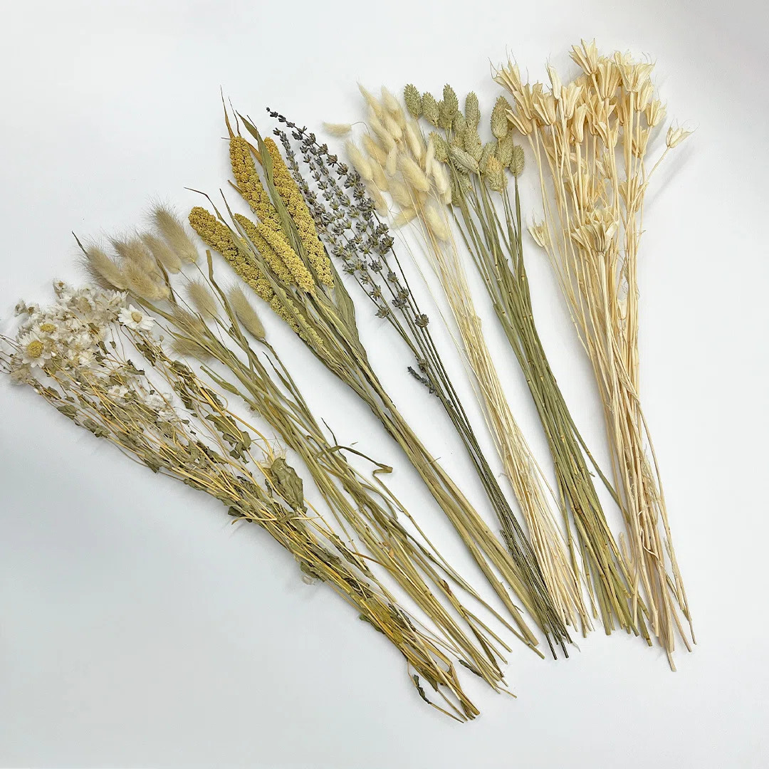 Real Preserved Mixed Bouquets Mix 2 Small - Med - Large | Wayfair North America