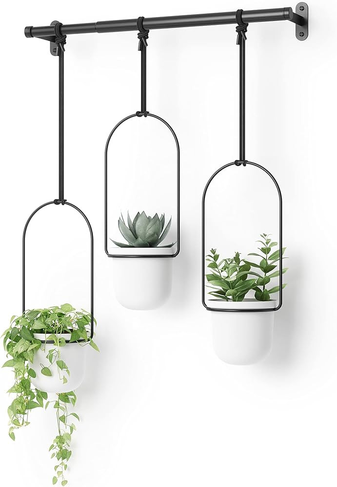 Umbra Triflora Hanging Planter for Window, Indoor Herb Garden, White/Black, Triple | Amazon (US)
