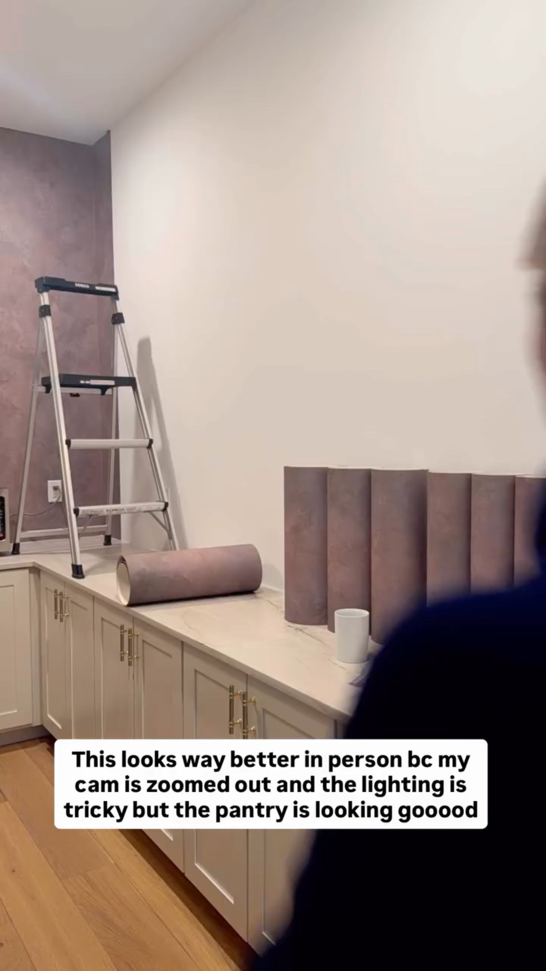 This looks way better in person bc my cam is zoomed out and the lighting is tricky but the pantry is looking gooood @wall.blush