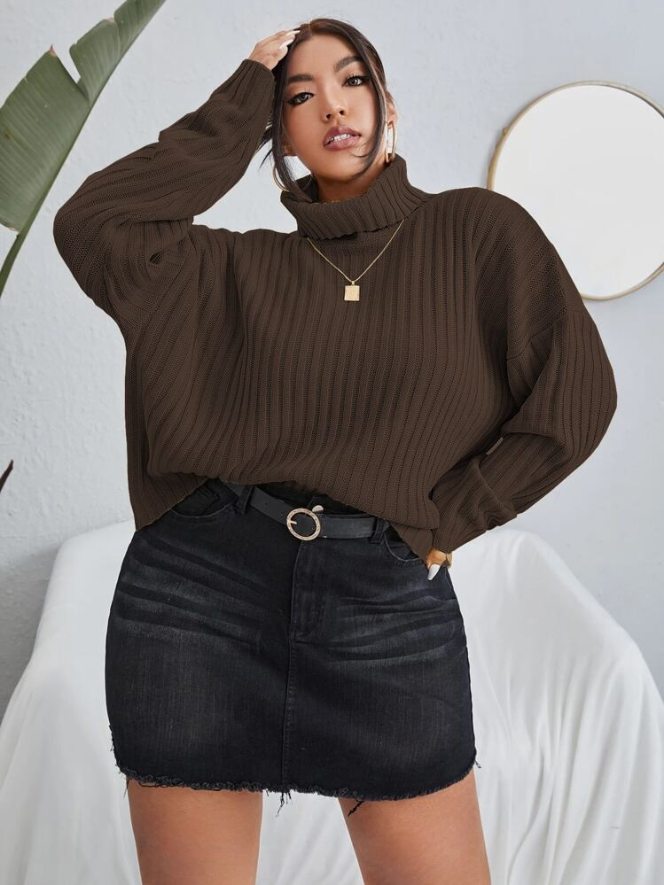 Flirla Plus Turtleneck Drop Shoulder Sweater, For Winter Knit Pullover Fall Outfit Autumn | SHEIN