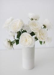 English Cabbage Artificial Rose Stem in White - 20.5" Tall | Afloral (US)