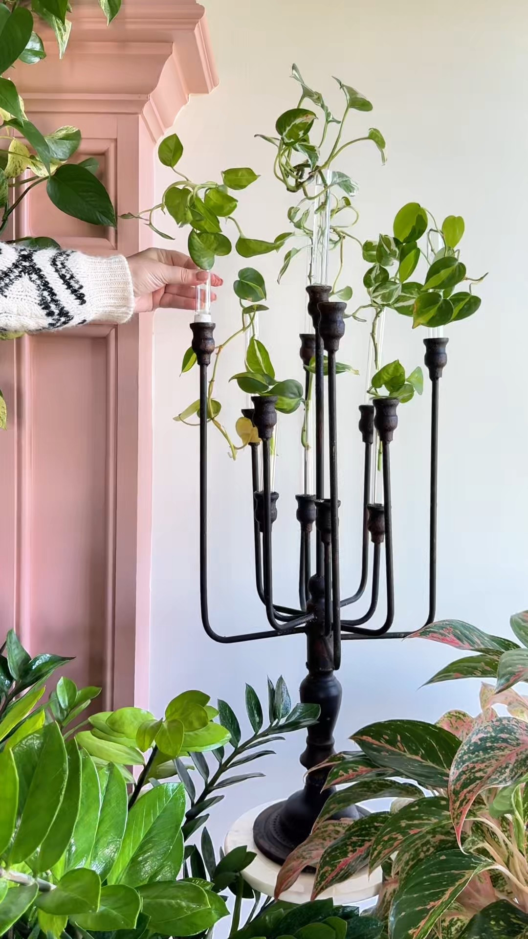 Totally obsessed with @shopbasevase !  Now, any candleholder can transform into a stunning vase for flowers or beautiful propagations. The possibilities are endless!

#LTKFindsUnder50 #LTKWatchNow #LTKHome