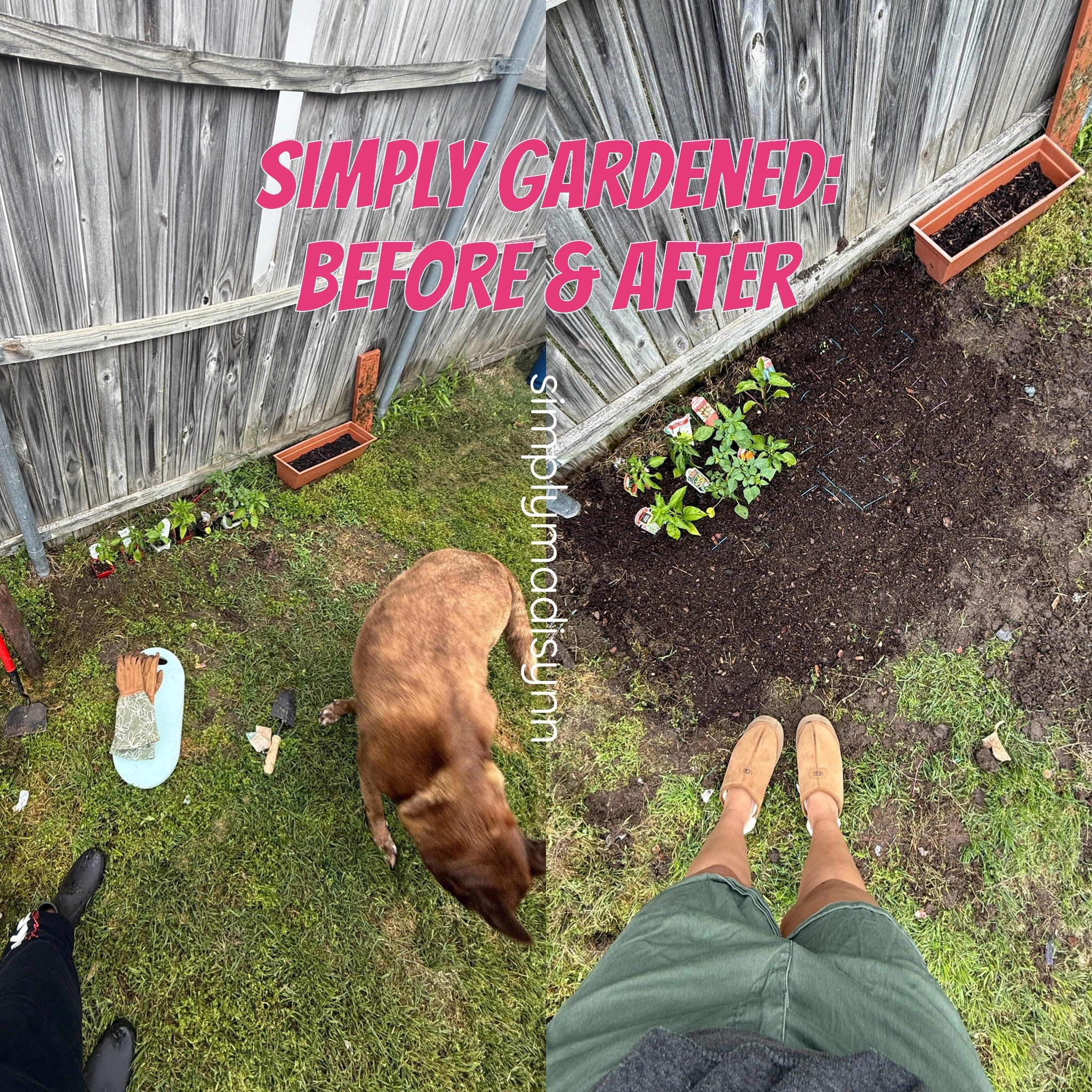 In my garden era real heavy🥹😍 Feeling blessed and grateful that I get to watch these seeds flourish🪴💗 #garden #gardentips #simplymadisynn 

#LTKHome #LTKFindsUnder50 #LTKSeasonal