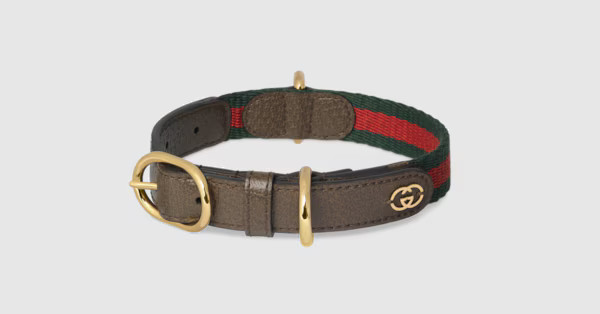 Small/medium pet collar | Gucci (US)