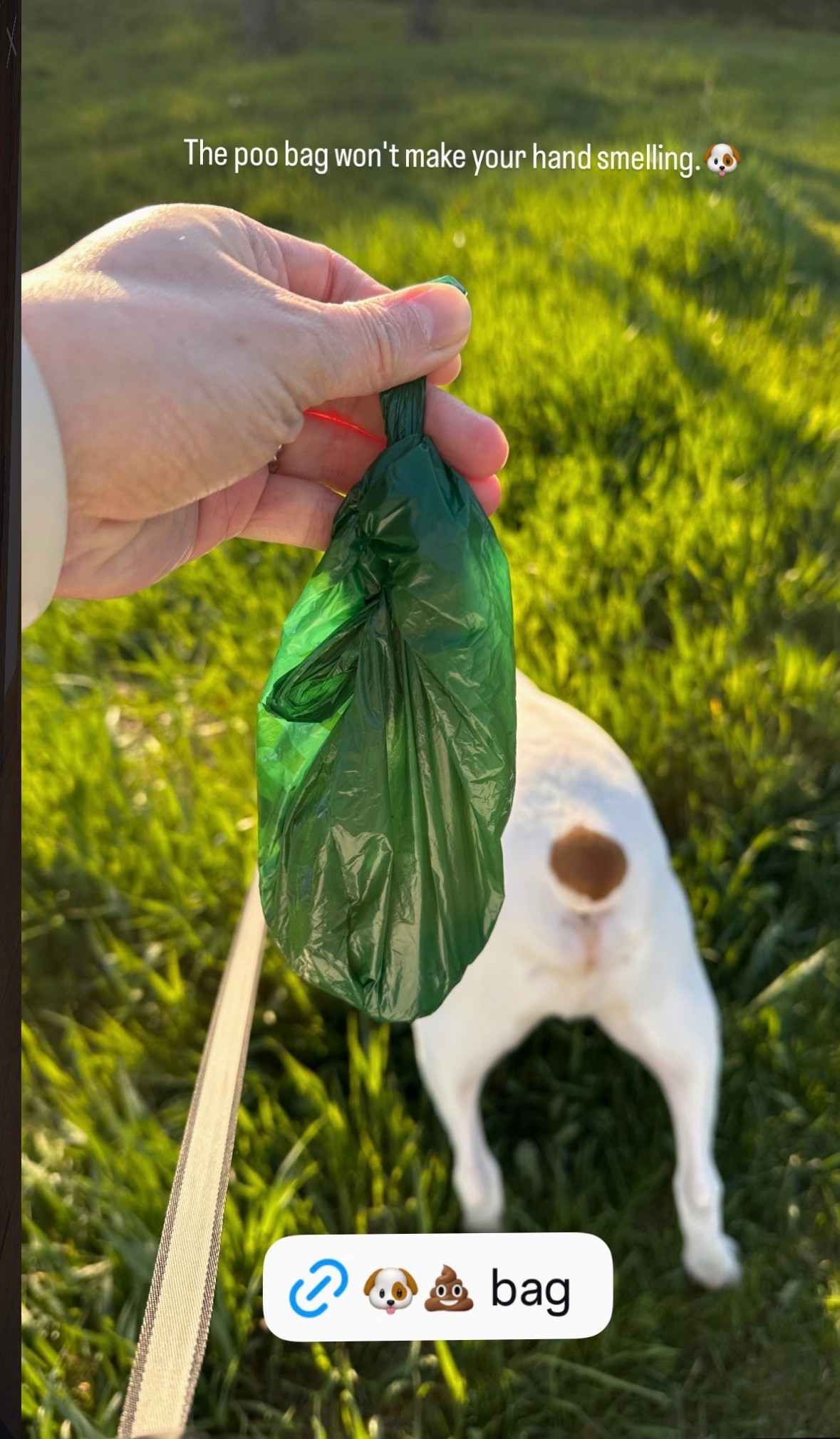 Some dog poo bag quality is so bad, the moment I pick it up, the bag breaks right away. 😂 This is one that I use for my dog. 

 #dogs #dogessentials #dogmom #petowner #amazonpetproducts

#LTKdayinmylife #LTKSaleAlert #LTKmomlife