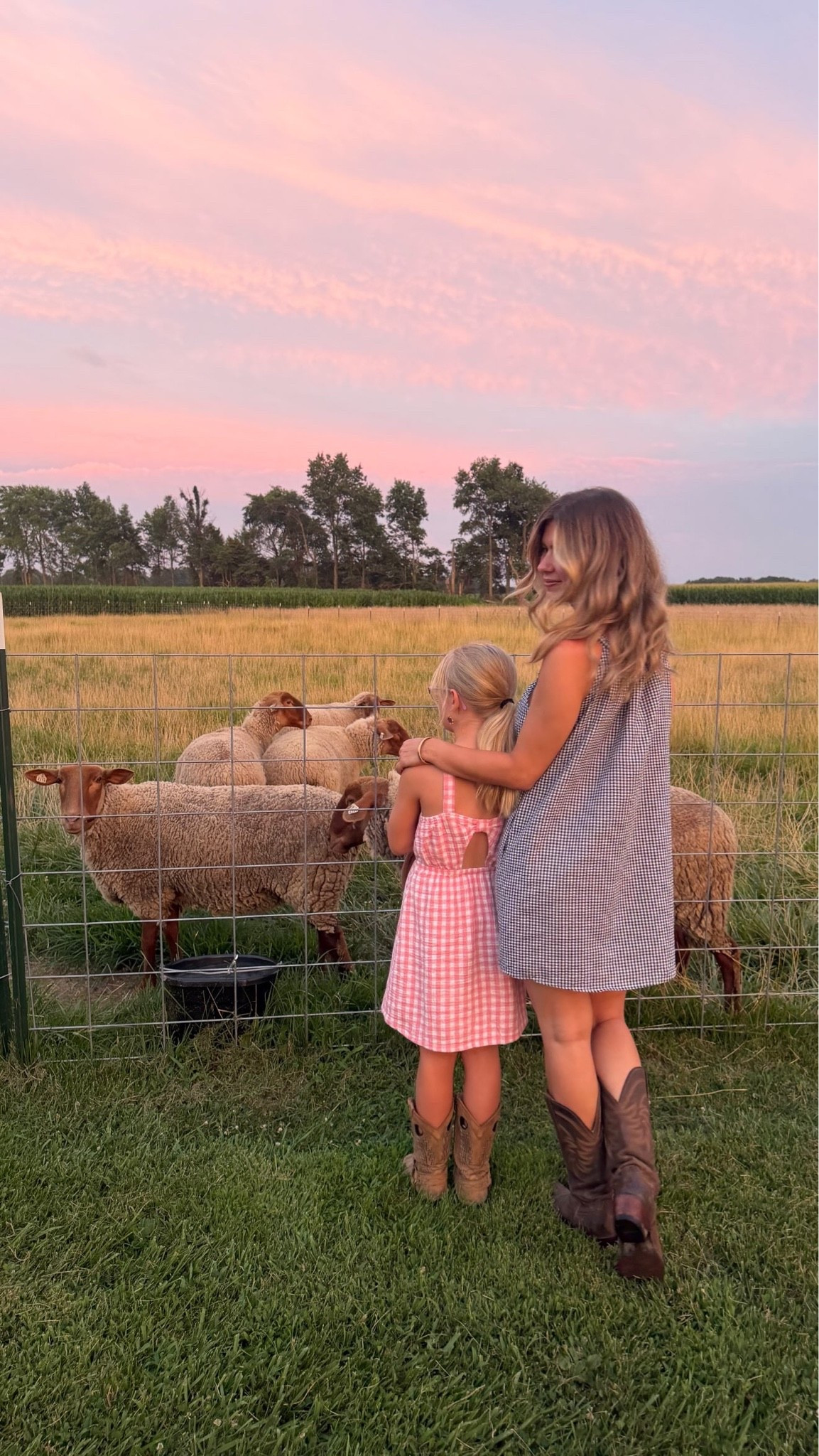 a night on the farm