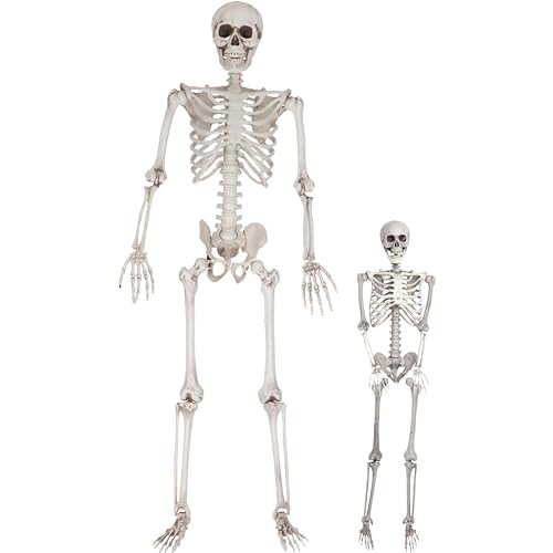 Life Size Human Skeleton Halloween Decoration Value 2 Pack- Adult 5' 4" & Child 2' - Articulated ... | Amazon (US)