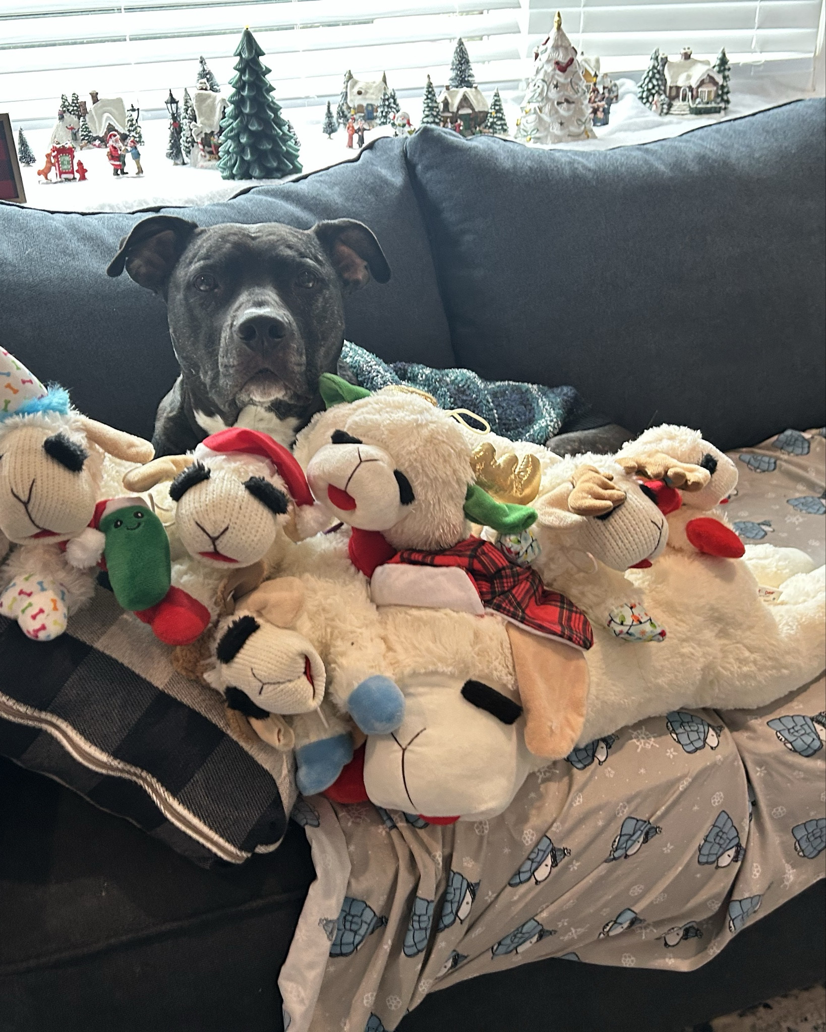Christmas may be over, but the toy explosion is real 🎄🐶
This toy bin keeps all of Zuma’s new favorites in one place without taking over the living room.
I tagged his Lamb Chops too 🤍

#LTKGiftGuide #LTKHome #LTKSeasonal
