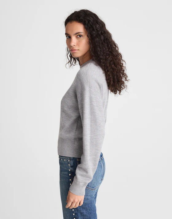 Relaxed Crewneck Sweater in Merino-Silk Blend | Madewell