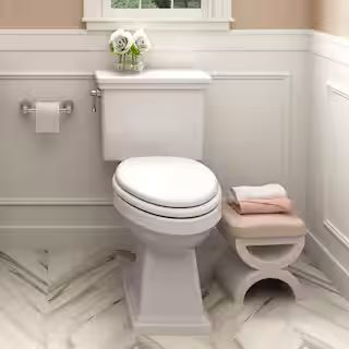 Lexington 2-Piece 1.28 GPF Single Flush Elongated Toilet in White | The Home Depot