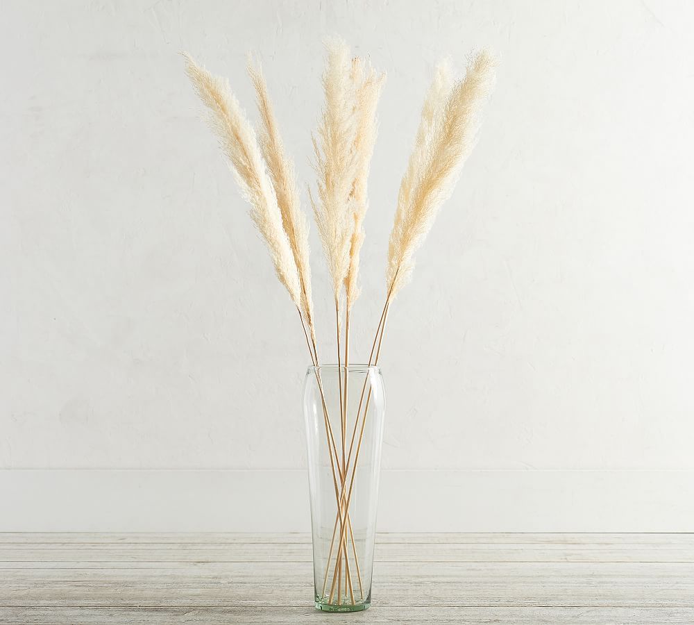 Dried Pampas Grass Branches - Set of 3 | Pottery Barn (US)