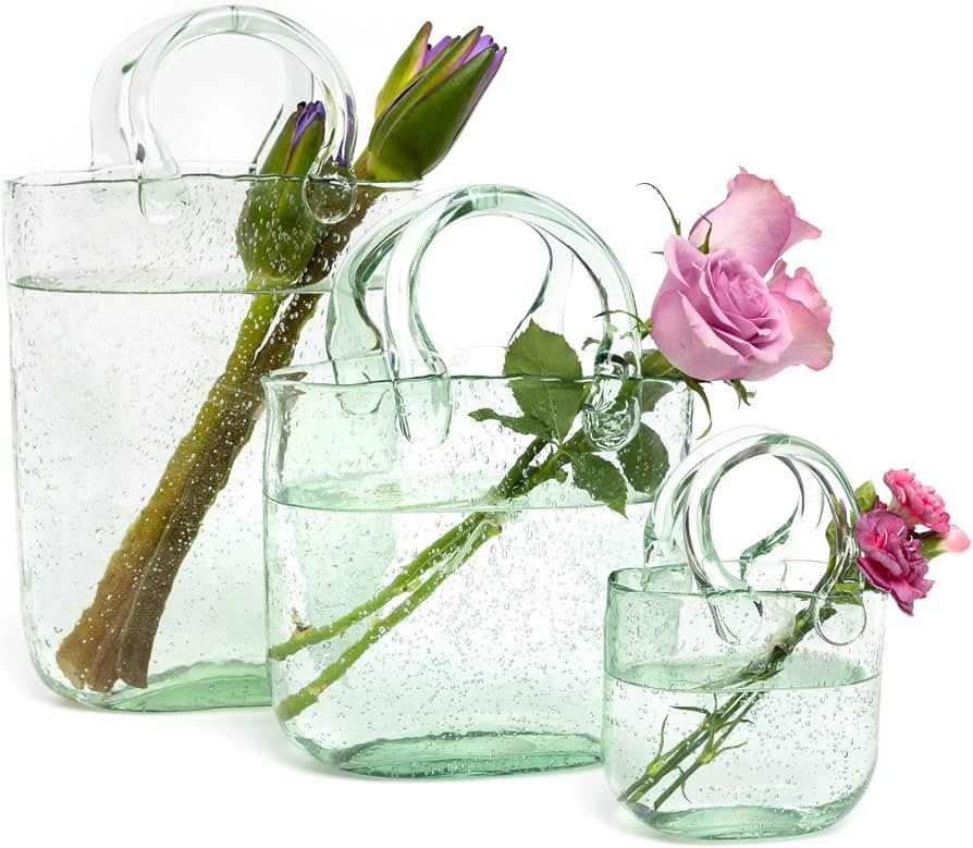 Haetingcare Hand Blown Glass Vase with Unique Design, Clear Glass Vase with Handles in Purse Shap... | Amazon (US)
