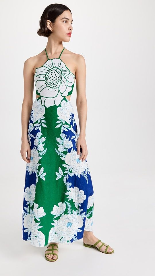 FARM Rio Soft Garden Flower Maxi Dress | SHOPBOP | Shopbop