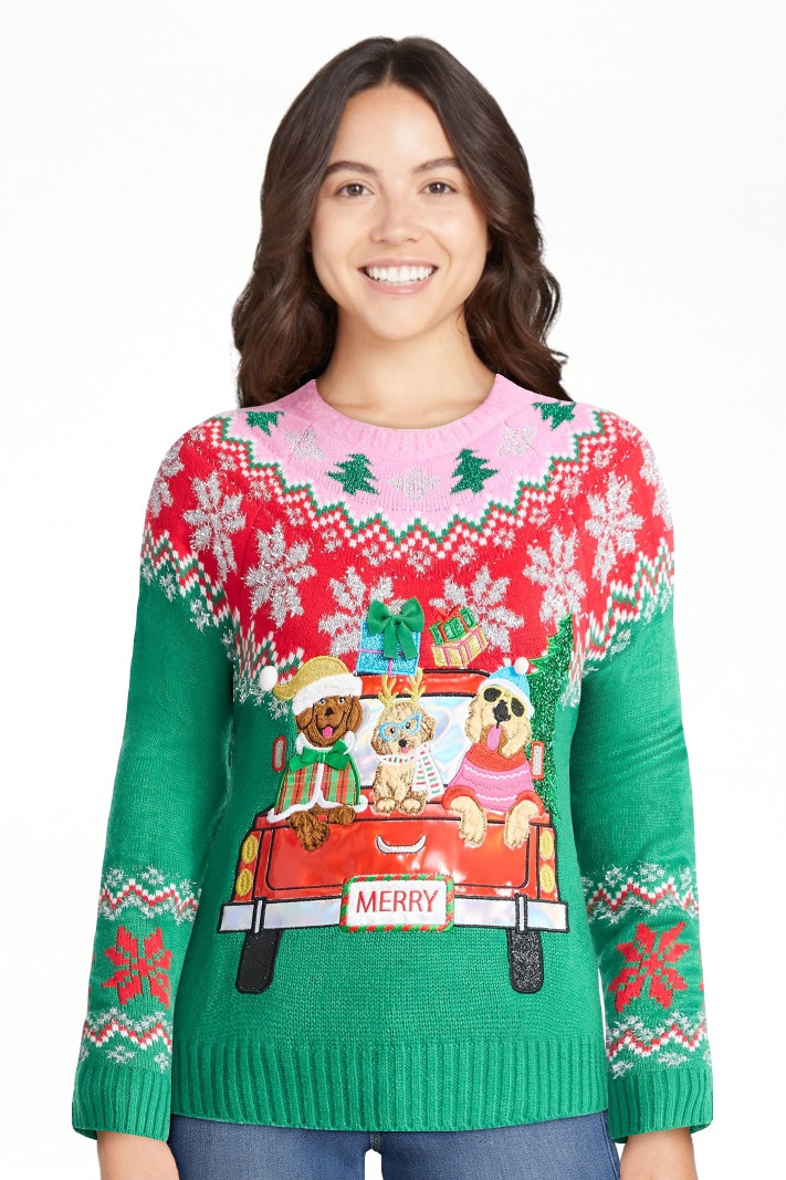 Holiday Time Women's Embellished Pullover Christmas Sweater, Midweight, Sizes XS-XXXL | Walmart (US)