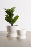 Archer Planter | Urban Outfitters (US and RoW)