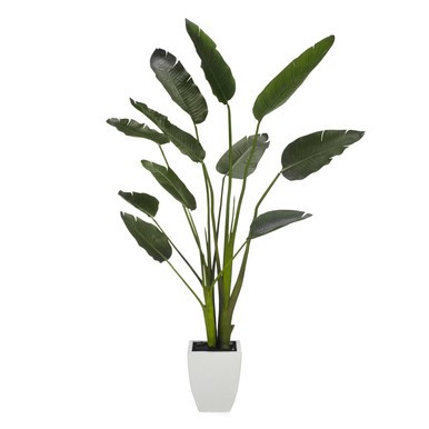 Faux Palm Tree | Z Gallerie