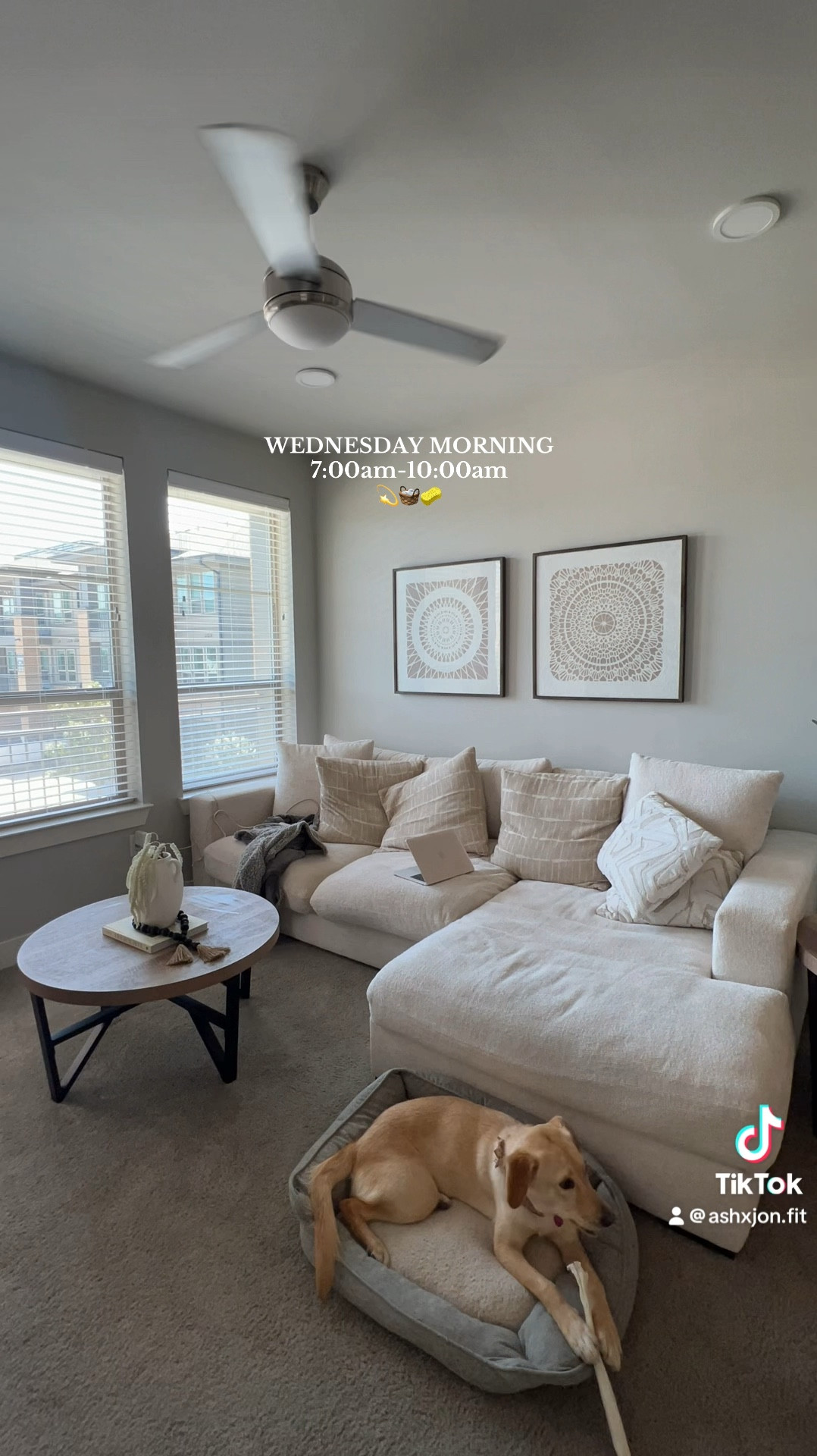 WEDNESDAY RESET💫🧺🧽

#LTKFindsUnder100 #LTKHome #LTKFallSale