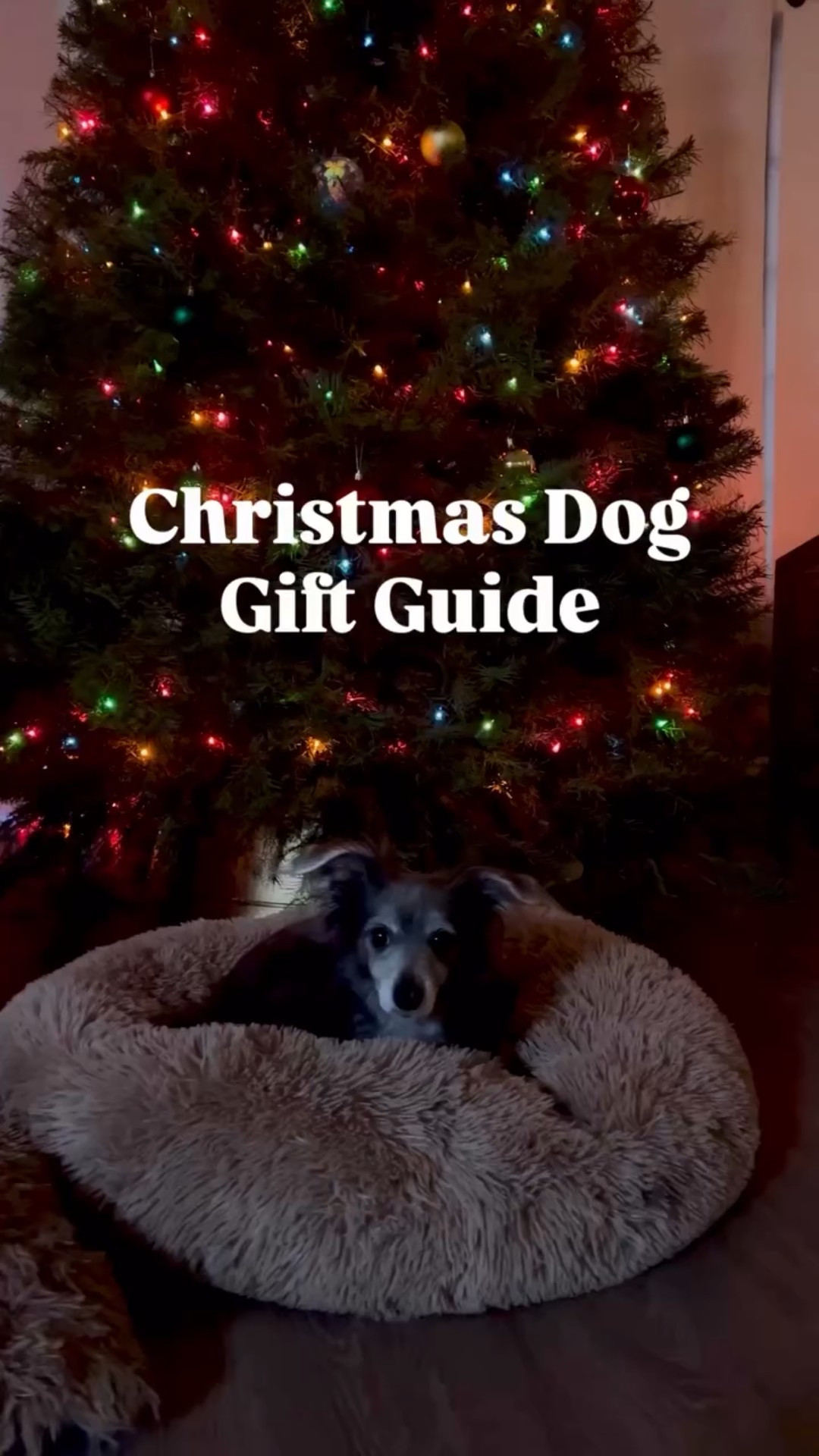 Christmas gift ideas for your pups. 


⬇ https://liketk.it/5GUPp #ltkgiftguide #ltkmomlife #doggiftguide #christmasgiftideas #christmasgiftguide

#LTKmomlife #LTKGiftGuide #LTKHoliday