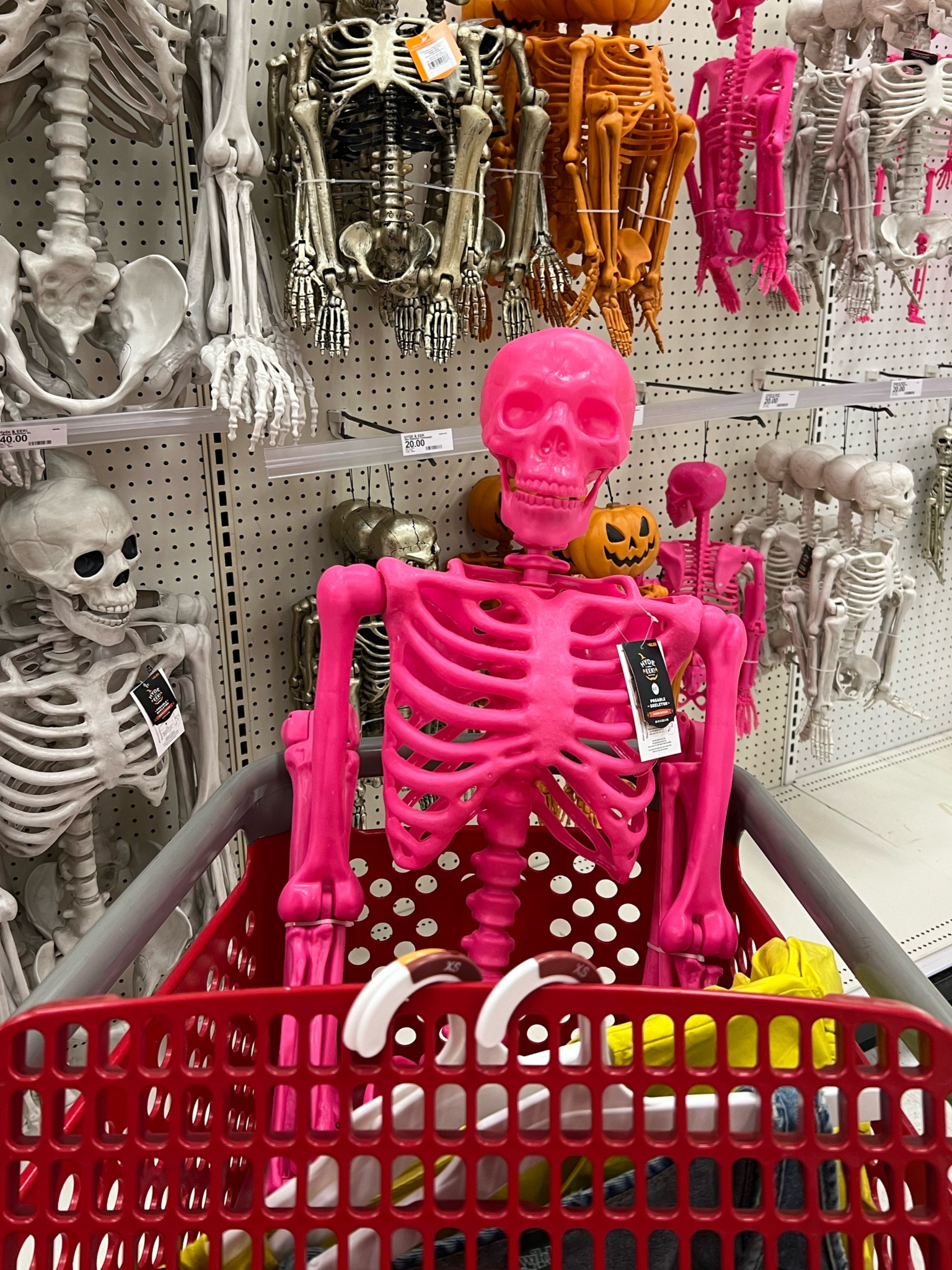 Hot Pink skeleton 60” / pink Halloween skeleton / pink Halloween decorations 

#LTKFindsUnder100 #LTKHome