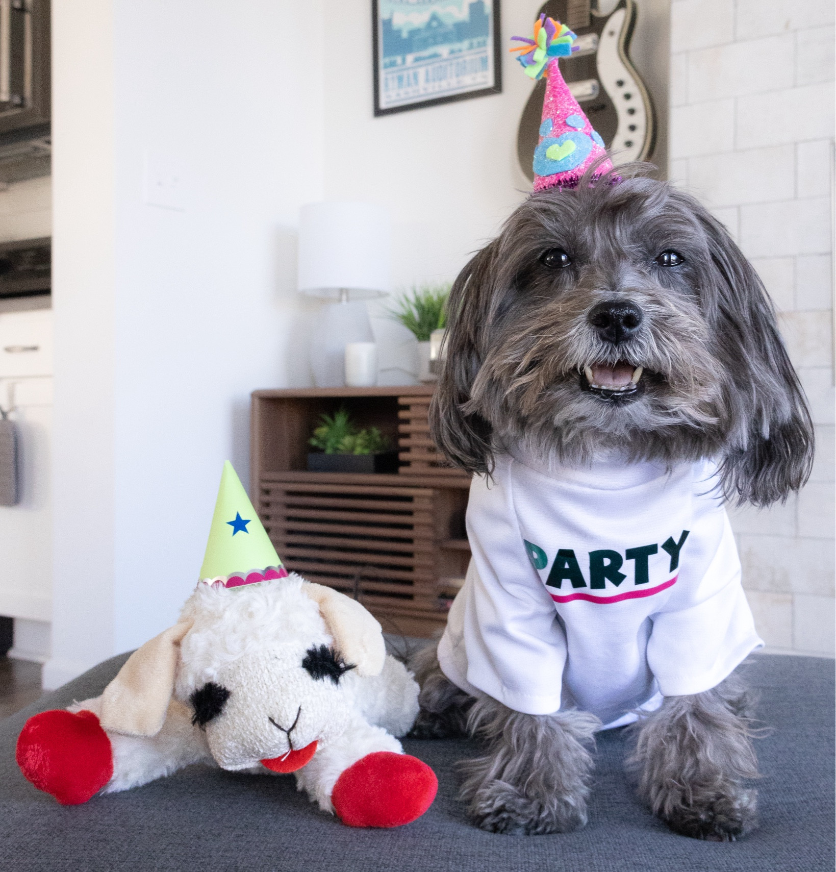 We get asked a lot how we make our DIY Halloween costumes and most are based off this sewing pattern we got from Etsy! We love keeping Halloween costumes comfy so Sophie can just be a dog. 

#LTKSaleAlert #LTKFamily #LTKFindsUnder50