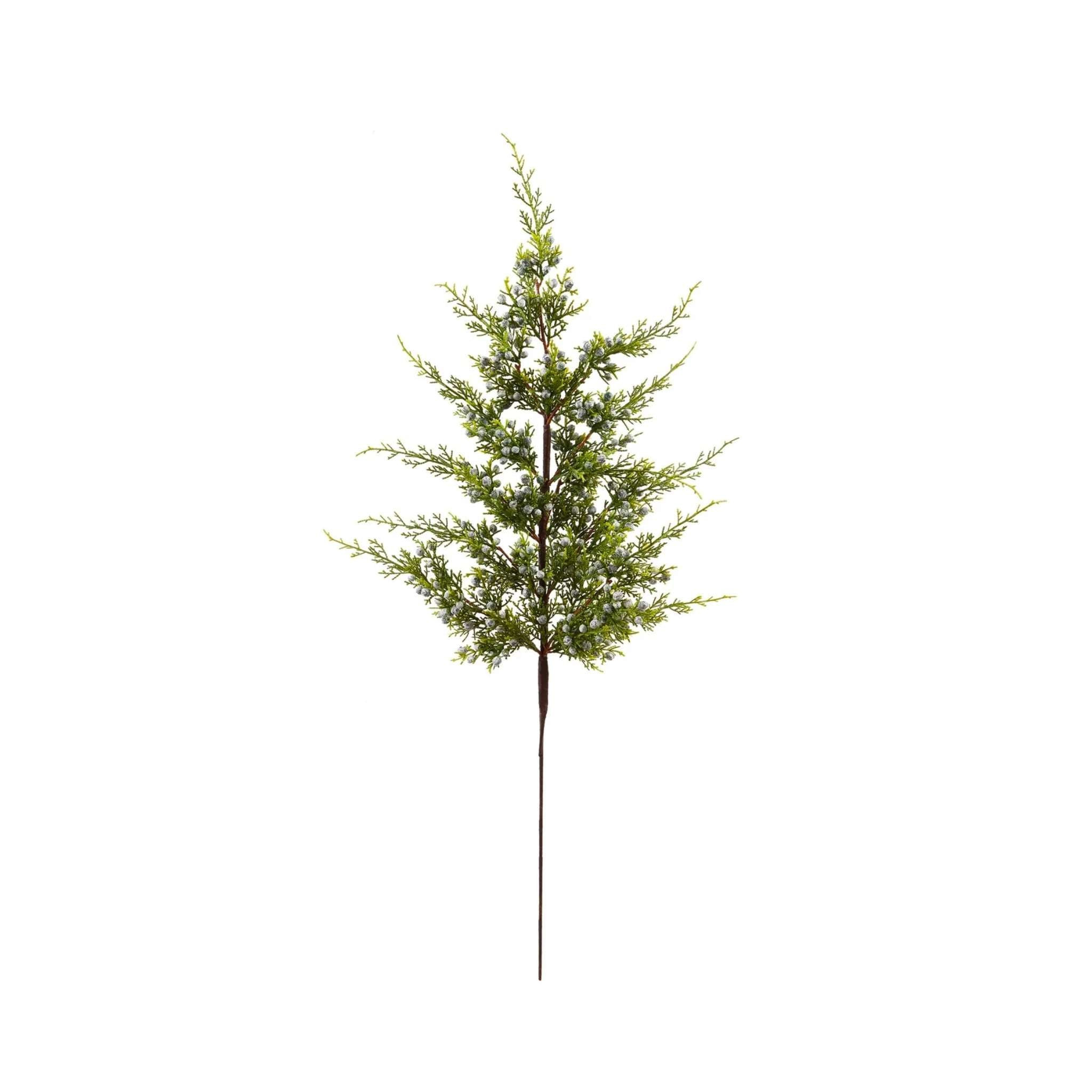 Juniper Berry Branch | Foundation Goods