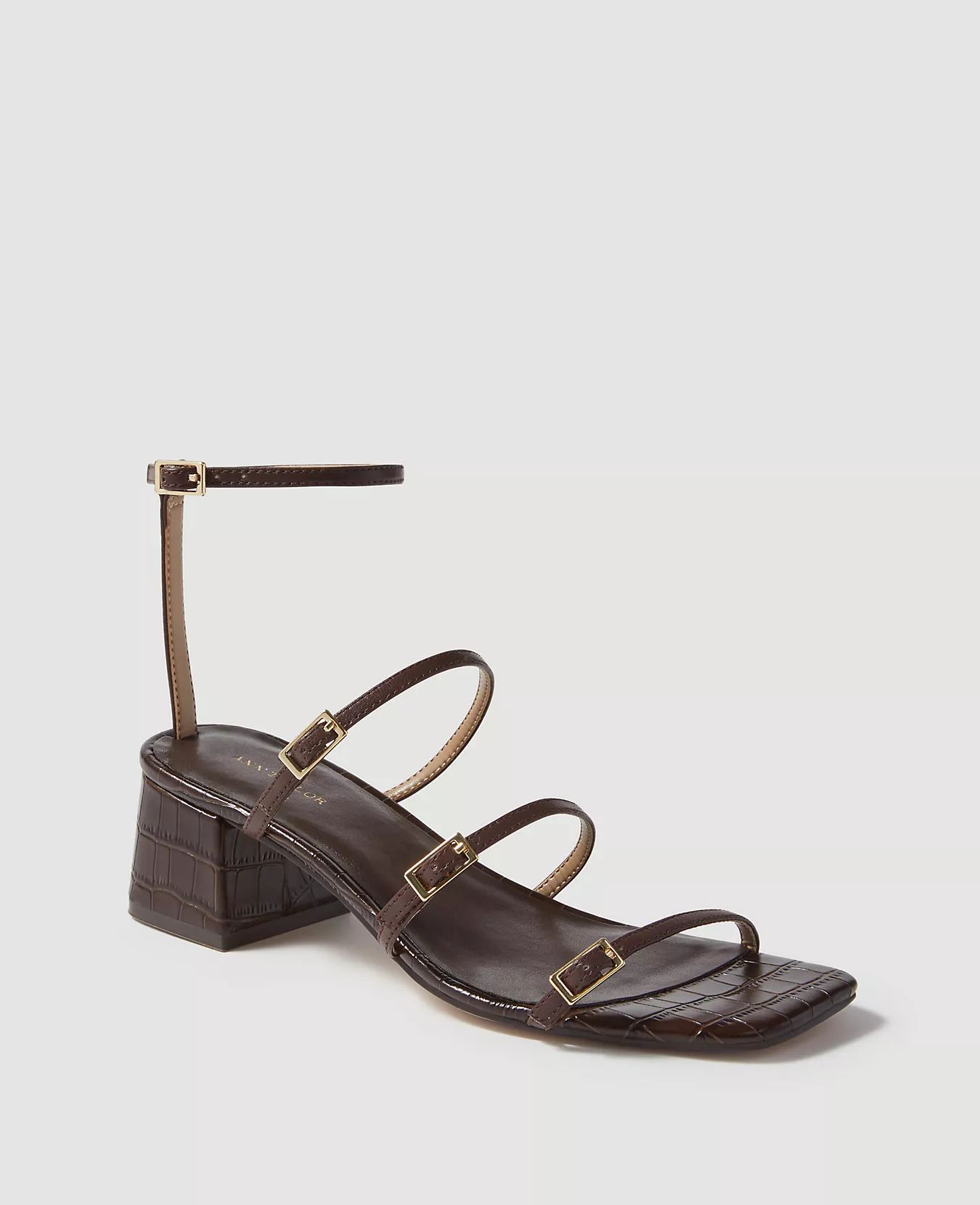 Rhiannon Croco Print Leather Buckle Block Heel Sandals | Ann Taylor (US)