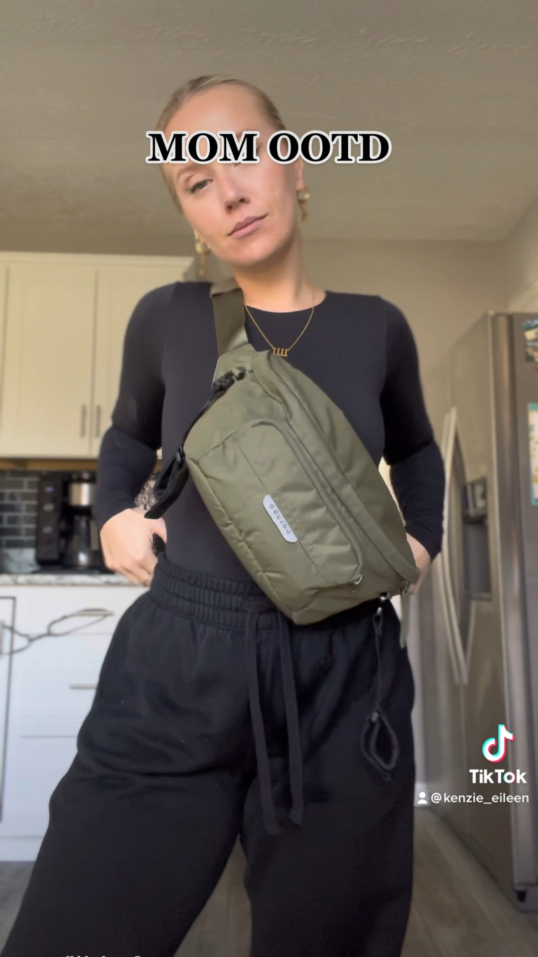 Colugo The on The Go Organizer and Fanny Pack in Black