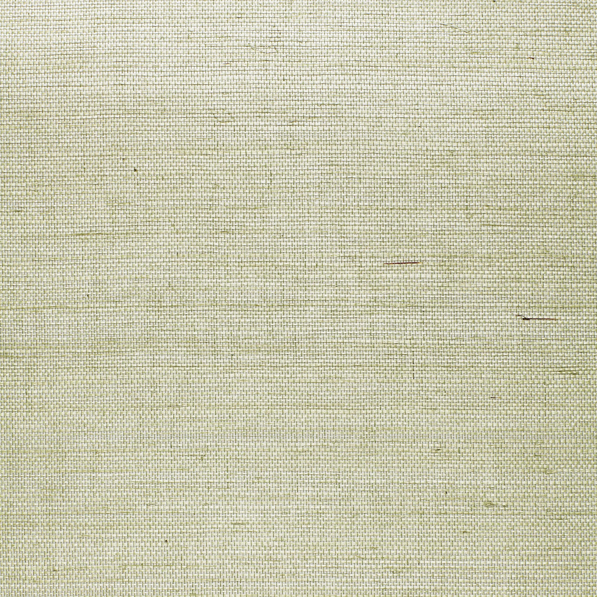 Schumacher x Celerie Kemble Suwon Sisal Wallpaper | Wayfair North America
