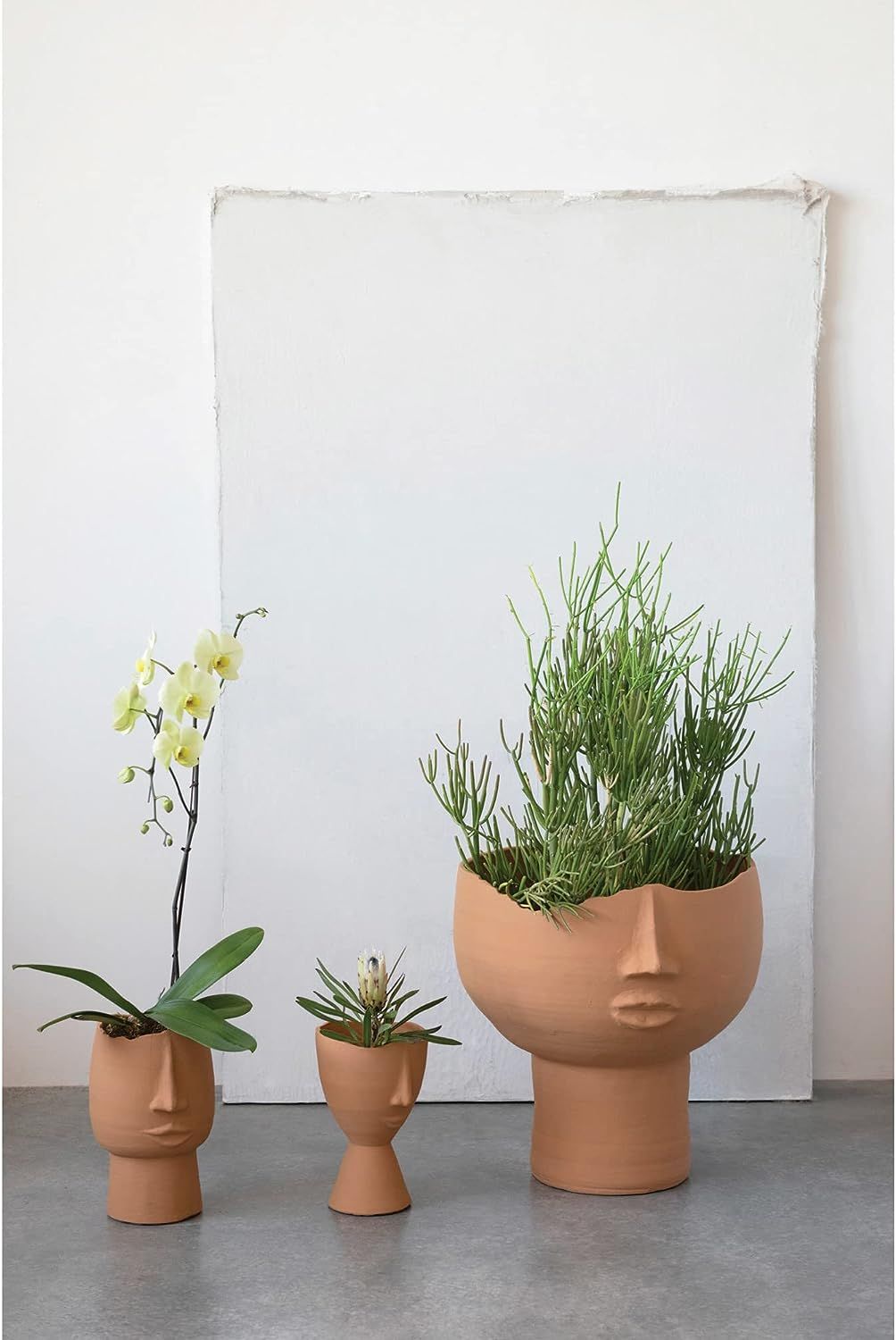 Amazon.com: Creative Co-Op Terra-Cotta Face Planter Pot, 9" L x 8" W x 12" H, Terracotta : Patio,... | Amazon (US)