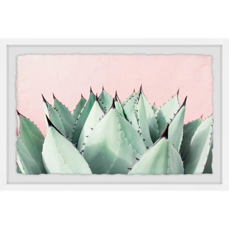 Sweet Succulents Framed Painting Print | Walmart (US)