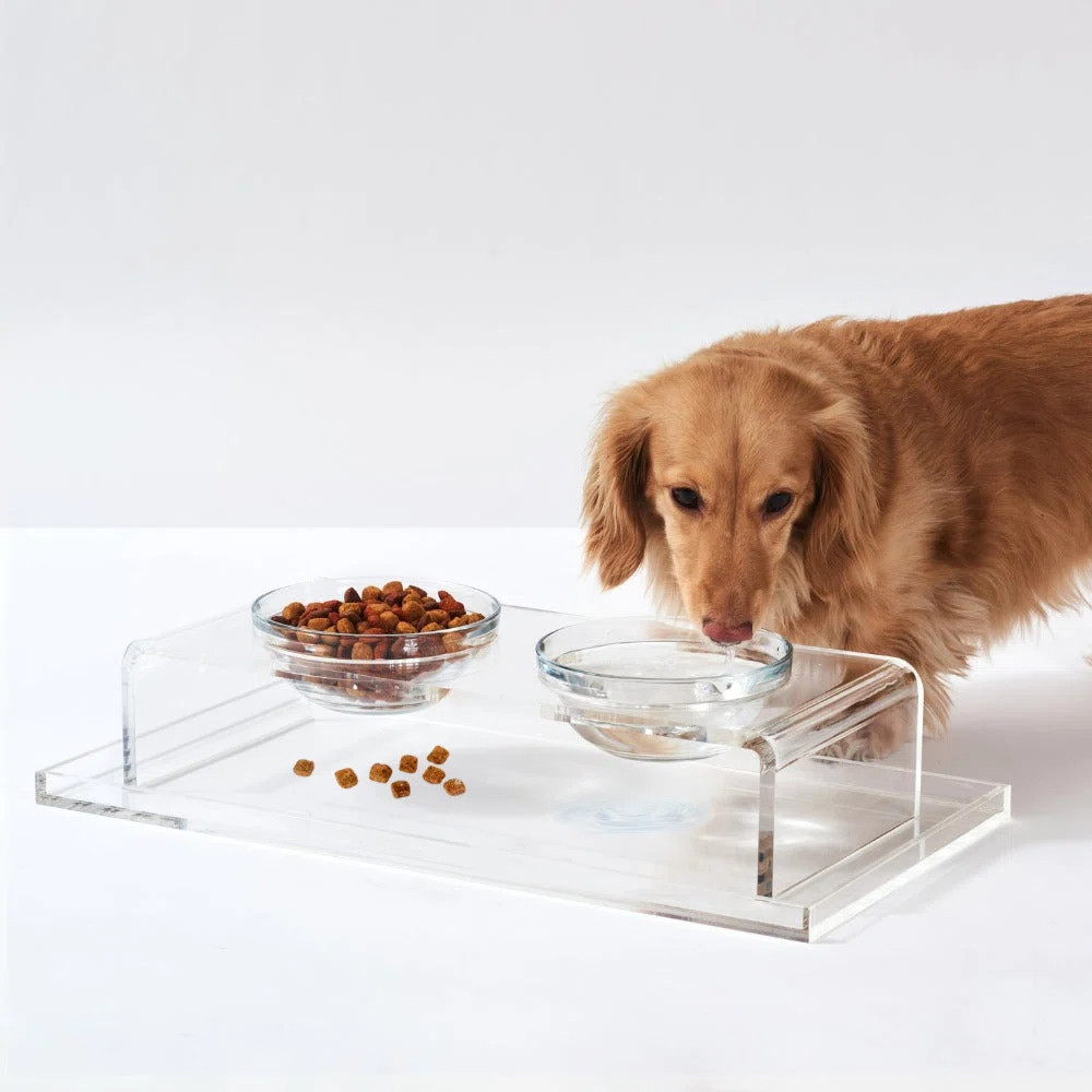 Clear Overflow Feeding Tray | Perigold