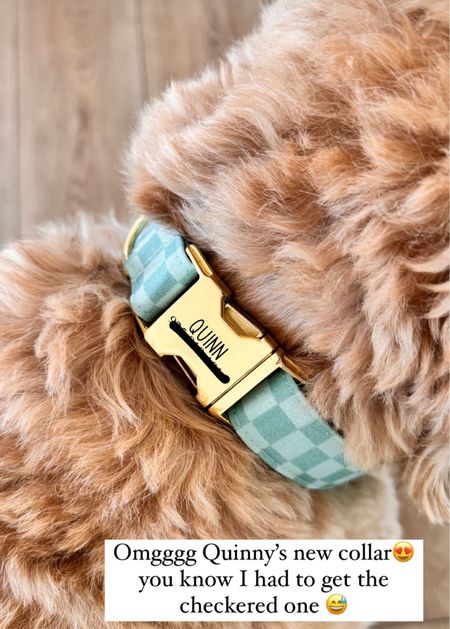 Cutest checkered dog collar! Tagless and personalized option with either gold or silver! 

#LTKFindsUnder50 #LTKSaleAlert #LTKFamily