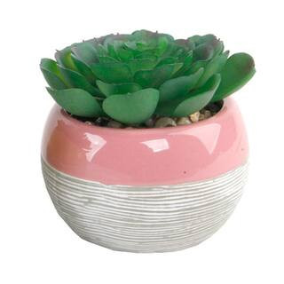 Flora Bunda® Succulent In Two Tone Lines Pattern Pink Ceramic Pot | 4.2" x 4.2" x 5" | Michaels® | Michaels Stores