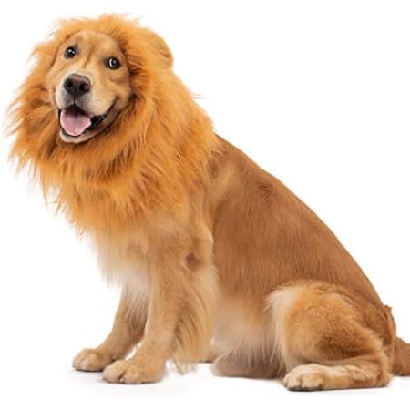 TOMSENN Dog Lion Mane - Realistic & Funny Lion Mane for Dogs - Complementary Lion Mane for Dog Costu | Amazon (US)