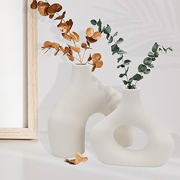 White Ceramic Vases - Round Matte Donut Design for Pampas Grass and Flowers - Ideal for Minimalis... | Amazon (US)