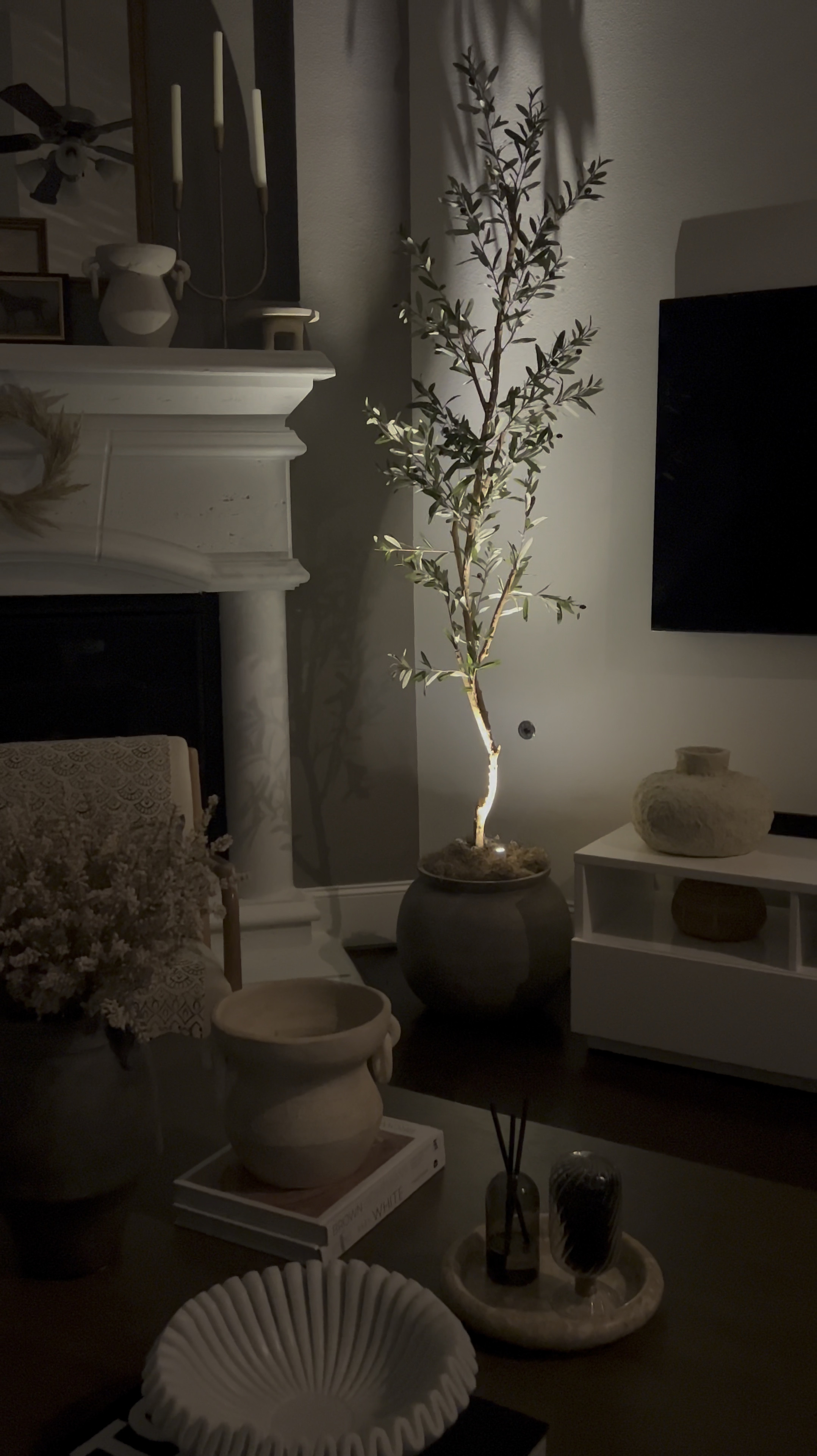 Indoor spotlight for faux tree ambience light #spotlight #amazonfind #amazon #olivetree #faux #planter #moodlight #ambience 

#LTKHome #LTKFindsUnder100 #LTKFindsUnder50