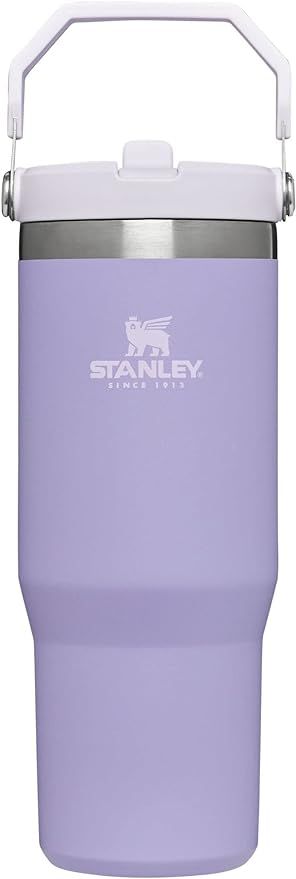 Stanley IceFlow Stainless Steel Tumbler with Straw, Vacuum Insulated Water Bottle for Home, Offic... | Amazon (US)