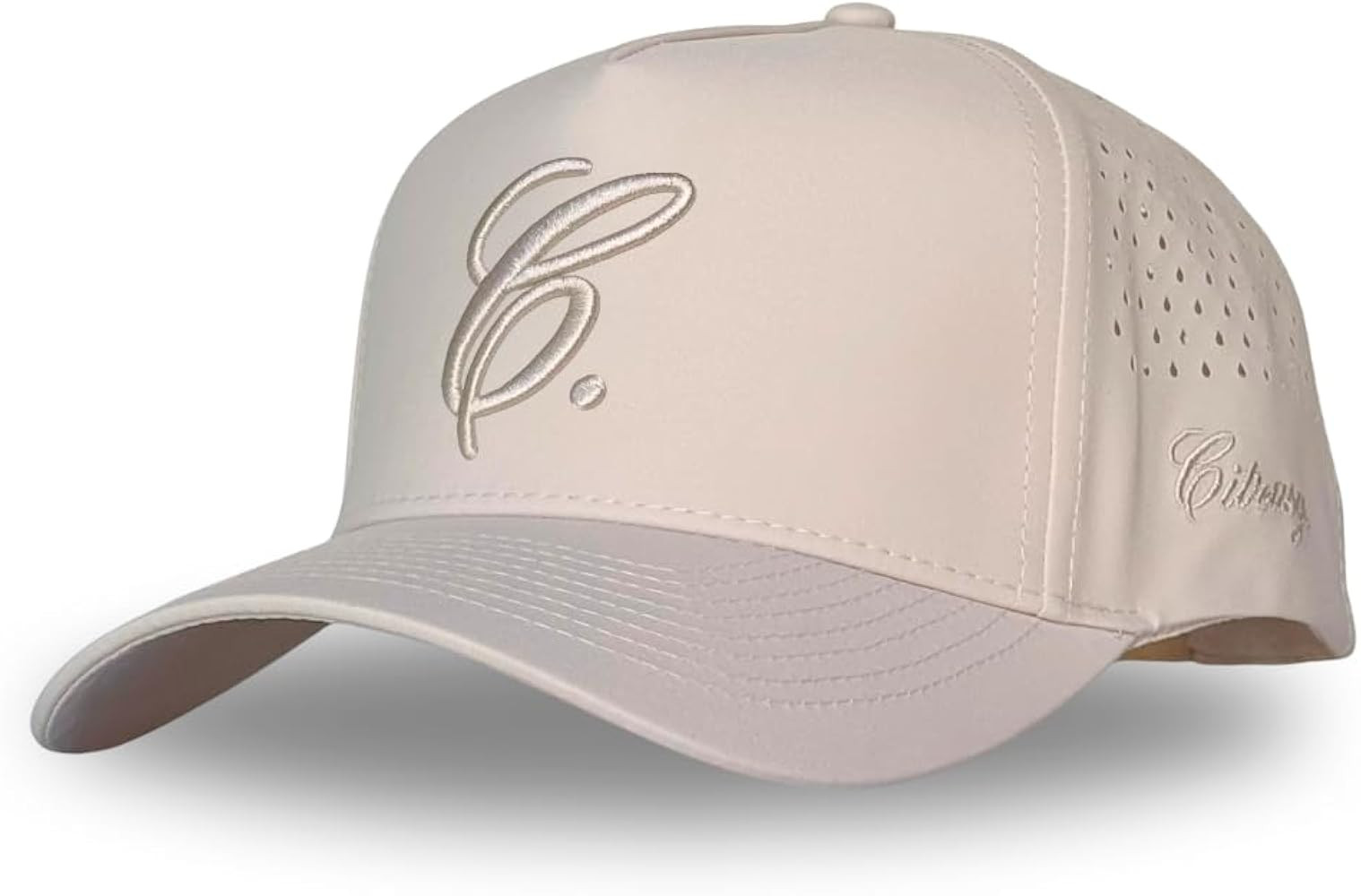 CITRUSY Athletic Trucker Golf Hat | Performance Mens 5 Panel Cap | Cool Breathable Waterproof Wor... | Amazon (US)