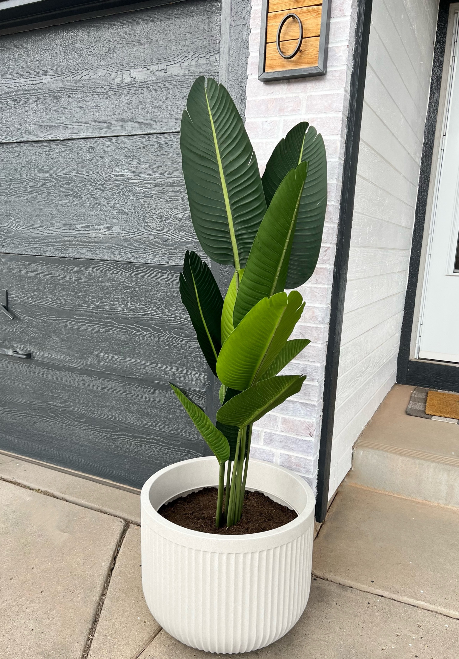 Faux plants outdoors,
Paradise palm, planter

#LTKsalealert #LTKSeasonal #LTKhome