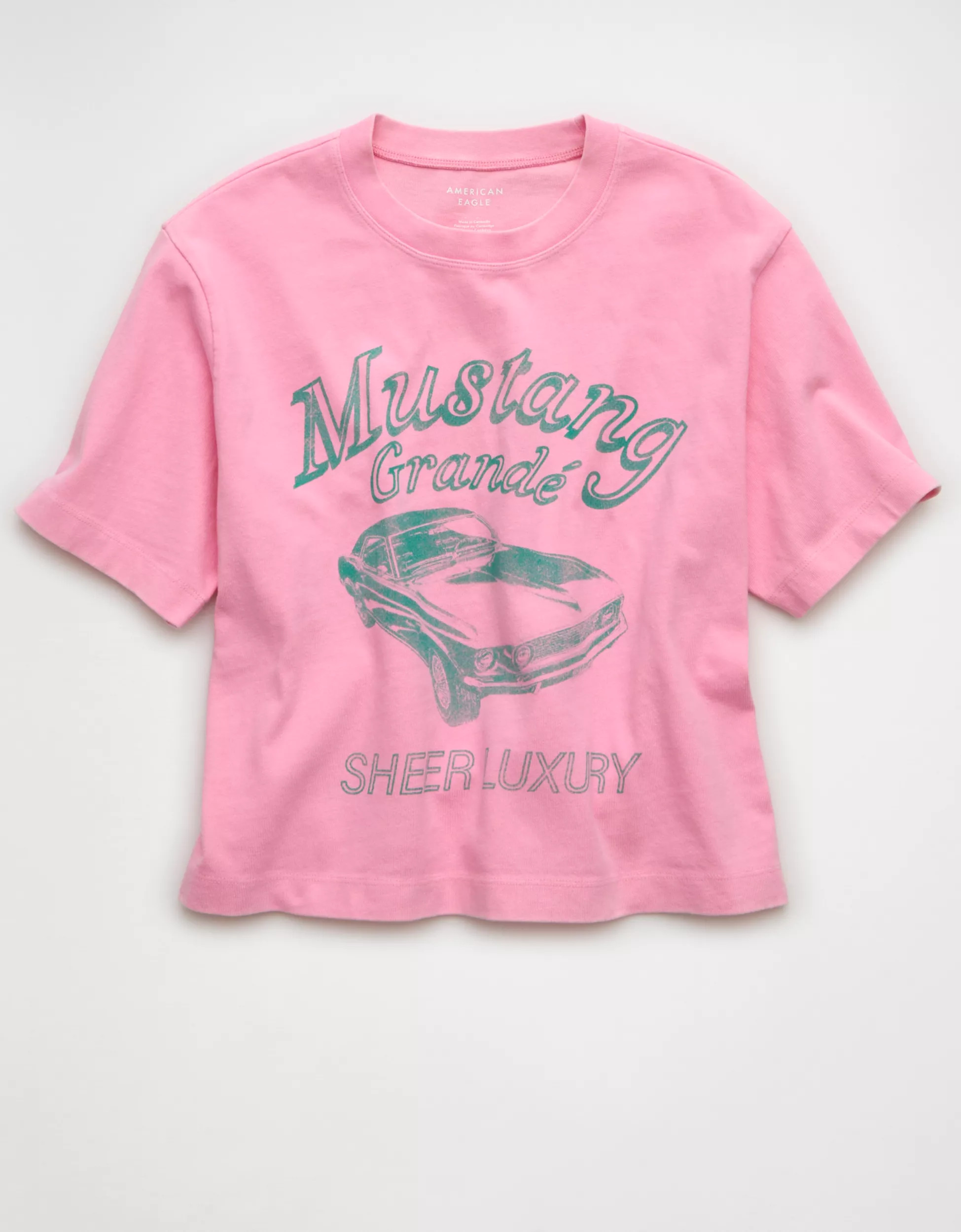 AE Boxy Mustang Graphic T-Shirt | American Eagle Outfitters (US & CA)